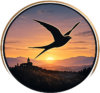 chatgpt image jul 6, 2026, 07 44 18 pm